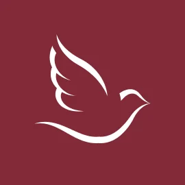 Електронні запрошення на весілля DoveInvite